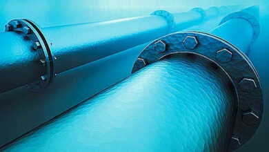 بازدید جمعی از مدیران نفتی از بخش دریایی پروژه خط لوله گاز بندرعباس - لافت - گورزین