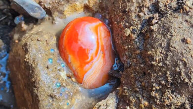 جداسازی سنگ معادن با هوش مصنوعی