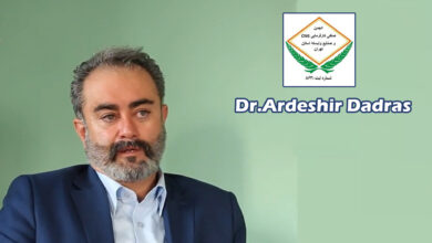 دکتر دادرس: اقتصاد کشور به اقتصاد انرژی بستگی دارد