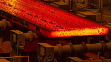 طیب نیا: تمرکز دولت آینده بر ظرفیت‌های ایجاد شده در کشور، جهش اقتصادی خواهد داشت