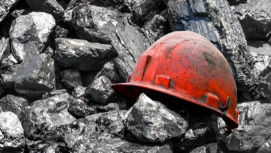 تشکیل چند کمیته ویژه برای رسیدگی به حادثه معدن معدنجو