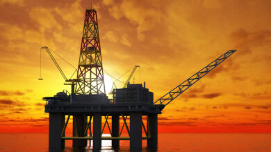 روایت وزیر نفت از عملکرد صنعت نفت در ۱۲ روز ویژه