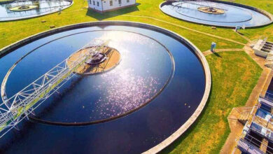 فولاد شادگان